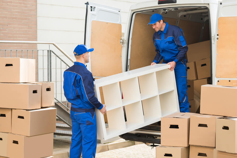 Professional Movers White Plains